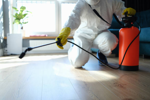 Reliable Infectious Disease Decontamination contractor in Glenbrook, NV by Trauma Clean Pros